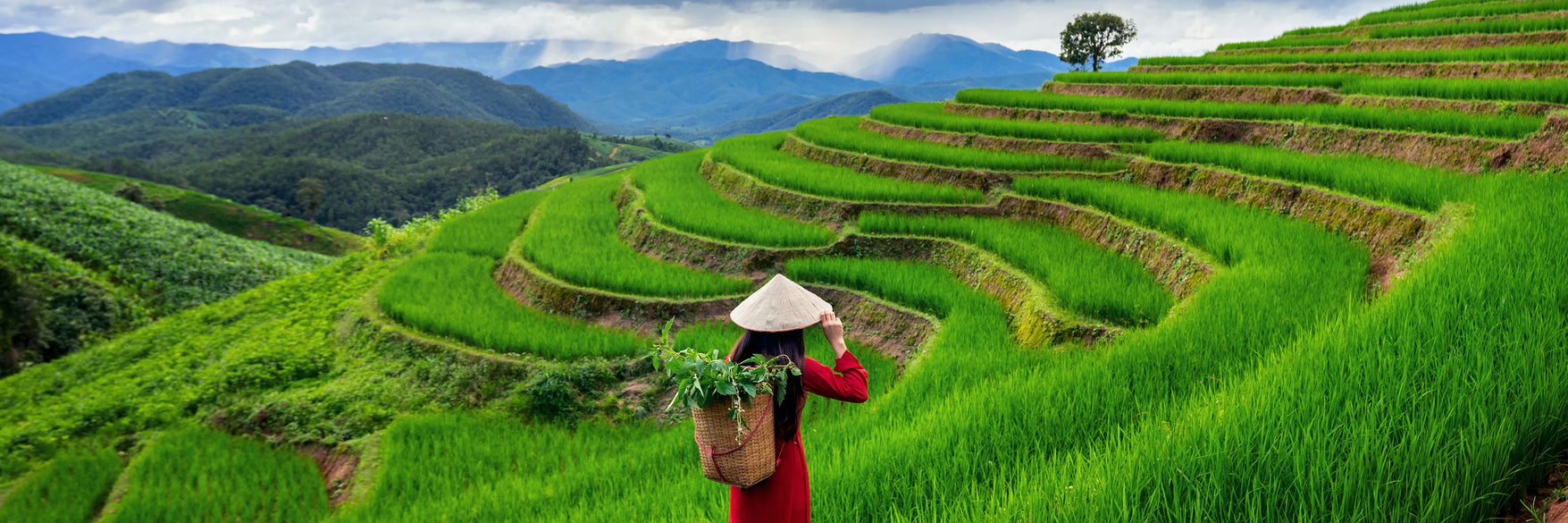 Vietnam