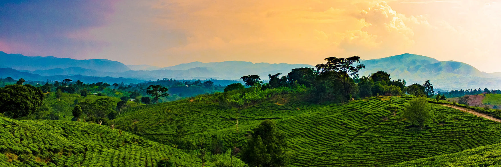 Uganda
