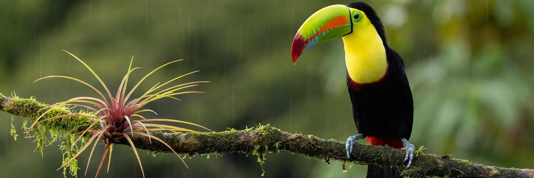 Costa Rica