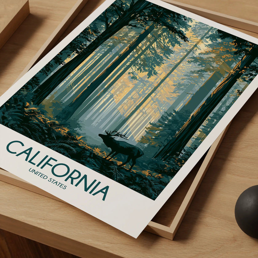 California Retro Travel Illustration