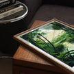 Everglades Home Office Decor