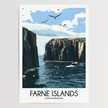 Farne Islands Gallery Quality Print