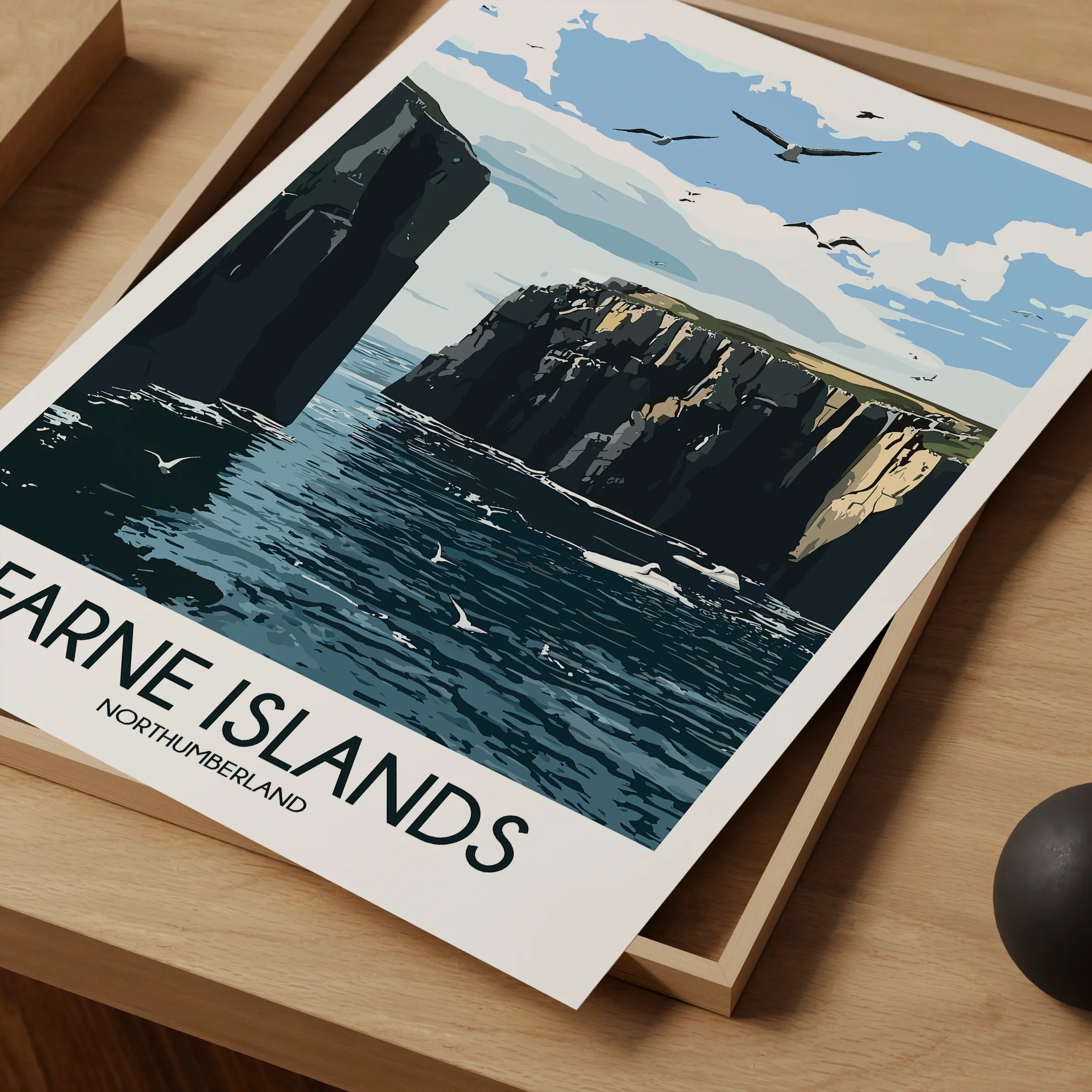 Farne Islands Retro Travel Illustration