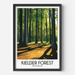 Kielder Forest Minimalist Wall Art