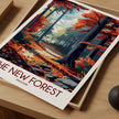New Forest Gallery Quality Print