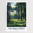 New Forest Travel Memory Gift