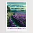 Northumberland Modern Travel Poster