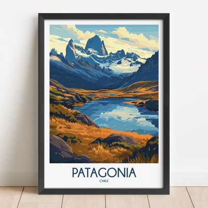 Patagonia Vintage Style Print