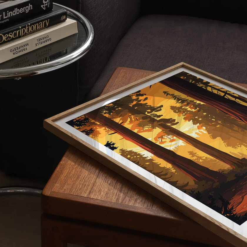 Sequoia Gallery Quality Print