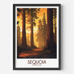 Sequoia Gallery Quality Print