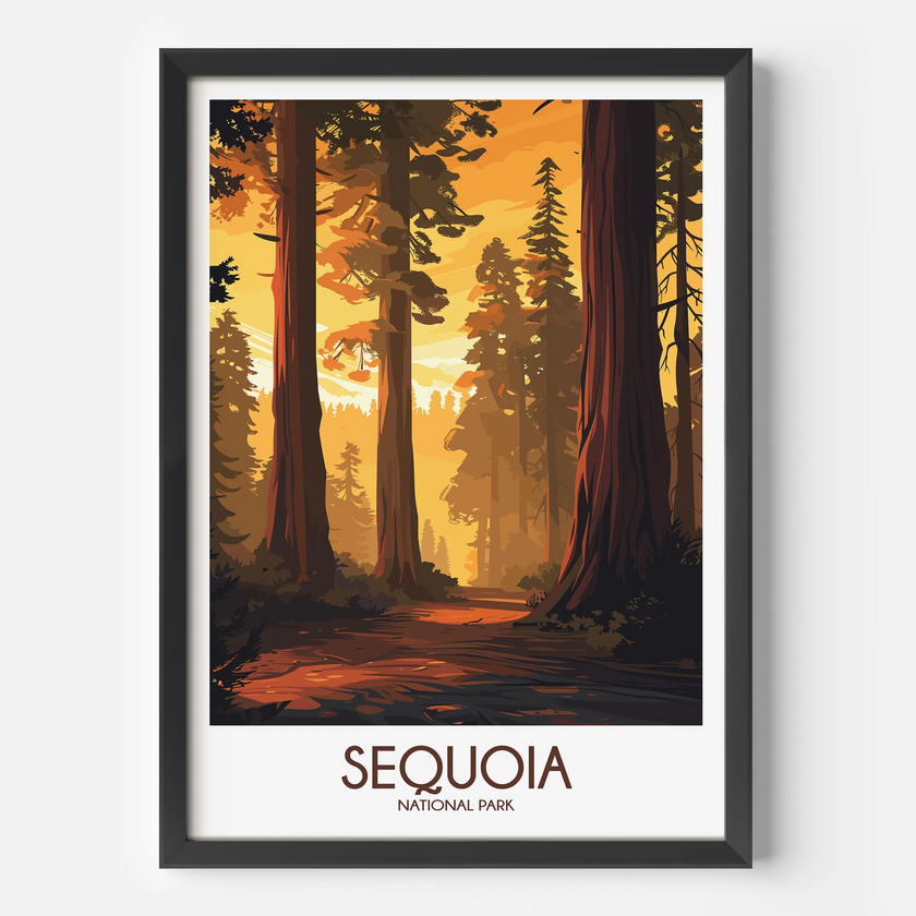 Sequoia Gallery Quality Print