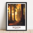 Sequoia Modern Travel Poster