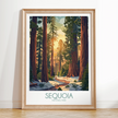 Sequoia Retro Travel Illustration